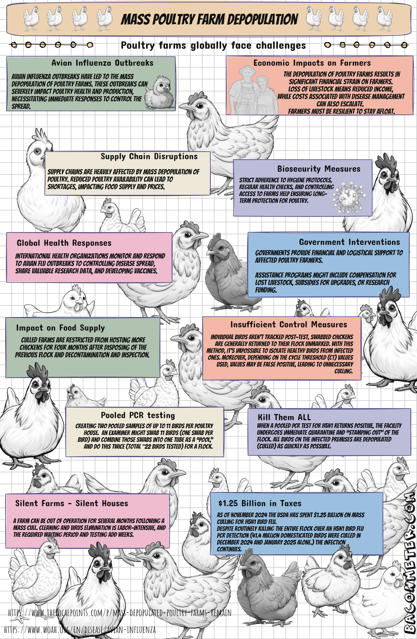 chickens